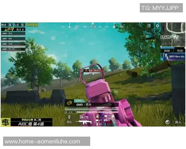 和平精英耐力排名揭晓TES战队表现出色创下新高纪录