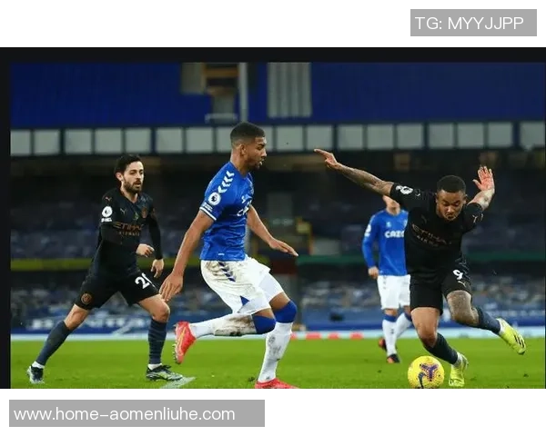 埃佛顿主场迎战纽卡斯力争三分冲击英超排名提升