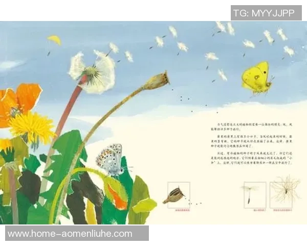 头号种子与三号种子的巅峰对决谁将赢得最终胜利